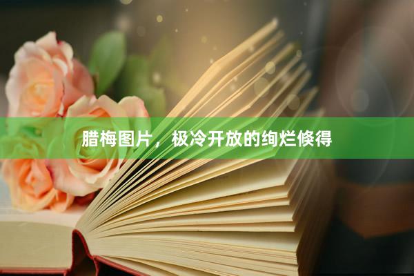 腊梅图片，极冷开放的绚烂倏得